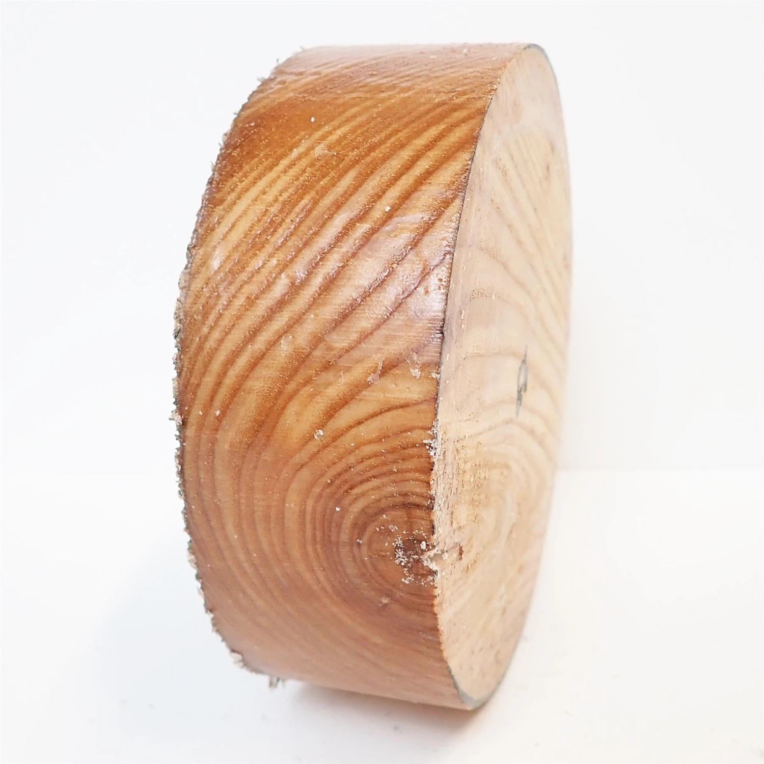 Elm Bowl Turning Blank, 2" Thick 1 Elm Bowl Turning Blank, 2" Thick